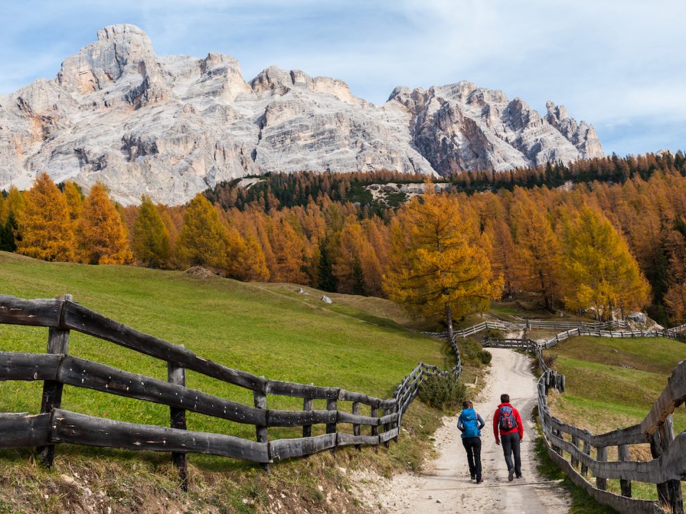 L'autunno sarà a colori in Alto Adige con escursioni, degustazioni e tanta avventura. Da metà settembre fino alla fine di ottobre,